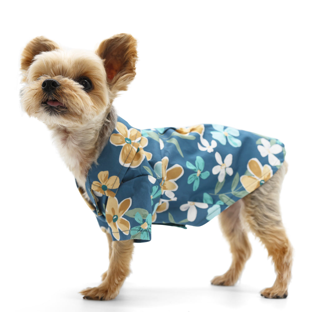 {{product_title}} - Cookies Wagging Friends Boutique