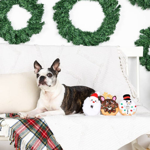 A Hole Lot of Holiday Fun Christmas Dog Toy Set - 3 Pc Fursace Luxury Dog Plush Toy - Red Squeaky | Cookies Wagging Friends Boutique Cookies Wagging Friends Boutique