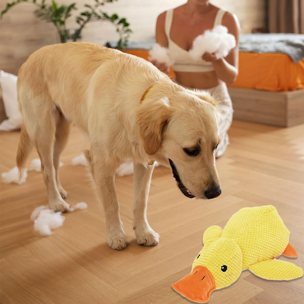 {{product_title}} - Cookies Wagging Friends Boutique