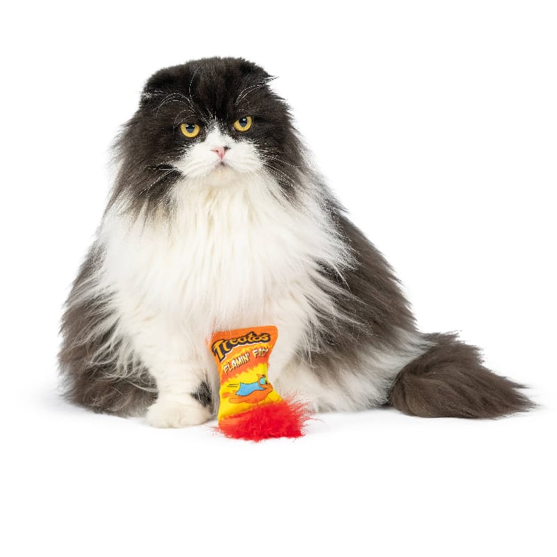 {{product_title}} - Cookies Wagging Friends Boutique