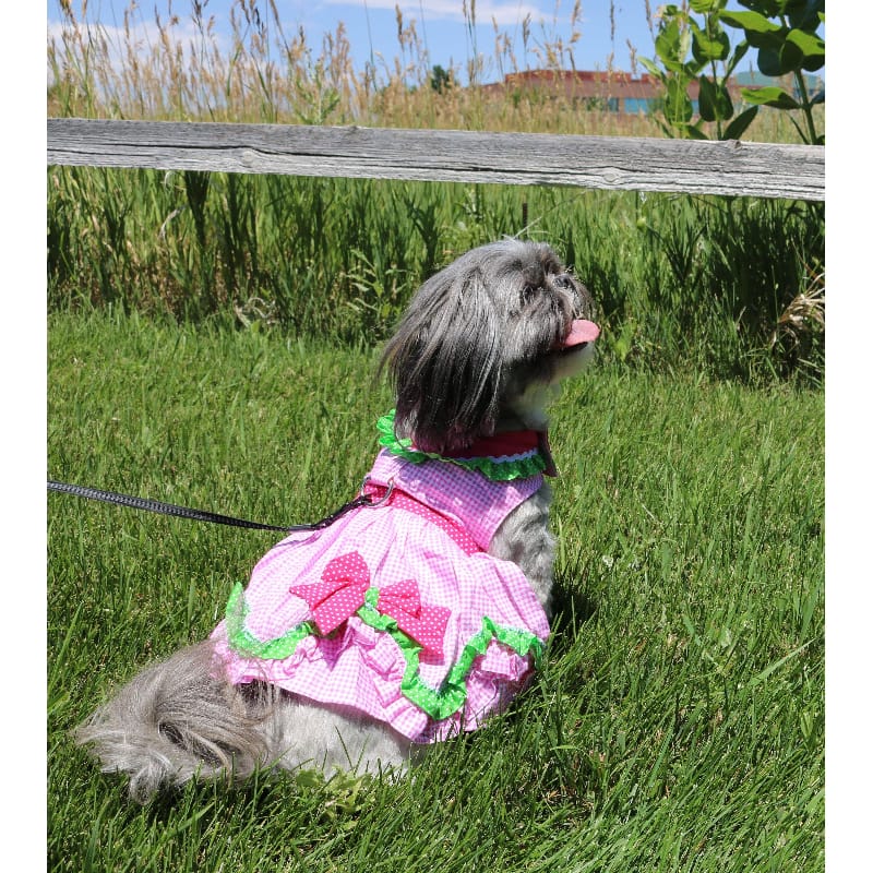 {{product_title}} - Cookies Wagging Friends Boutique