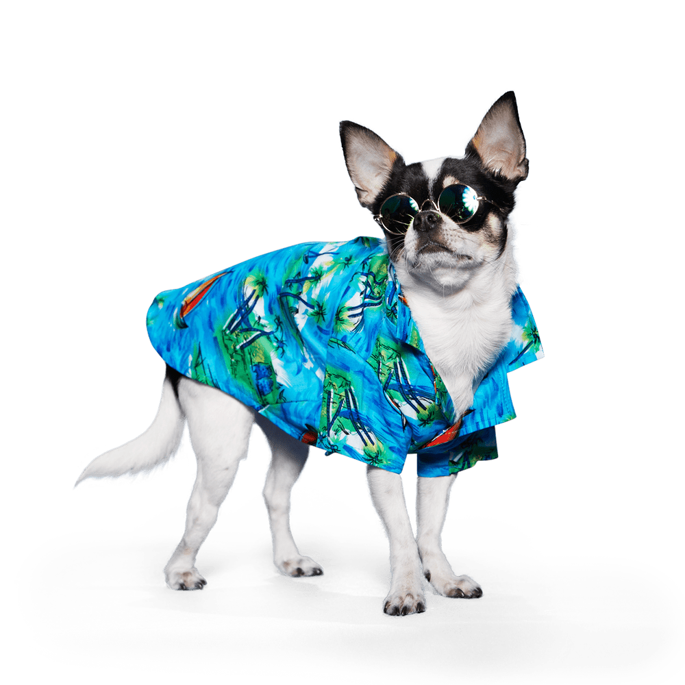 Light blue pet aloha shirt with tropical palm and surfboard prints