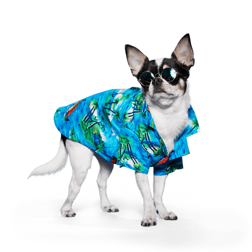 Light blue pet aloha shirt with tropical palm and surfboard prints