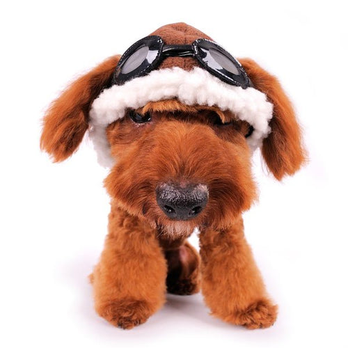 Brown aviator-style dog hat with white fleece trim and black goggles
