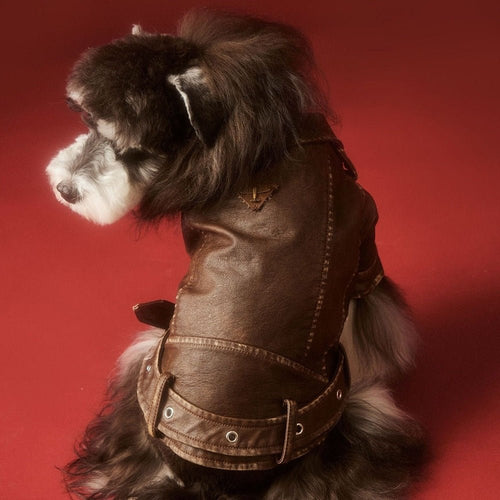 Aviator Pup Dog Leather Jacket Fursace Luxury Dog Plush Toy - XS Red Squeaky | Cookies Wagging Friends Boutique Cookies Wagging Friends Boutique