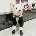 {{product_title}} - Cookies Wagging Friends Boutique