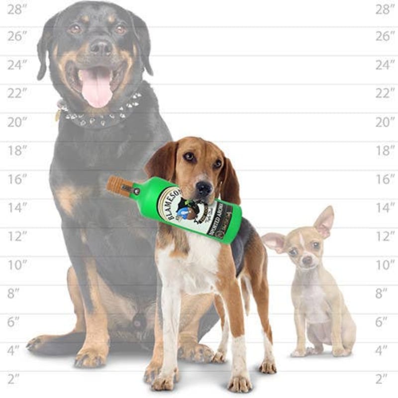 {{product_title}} - Cookies Wagging Friends Boutique