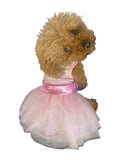 {{product_title}} - Cookies Wagging Friends Boutique