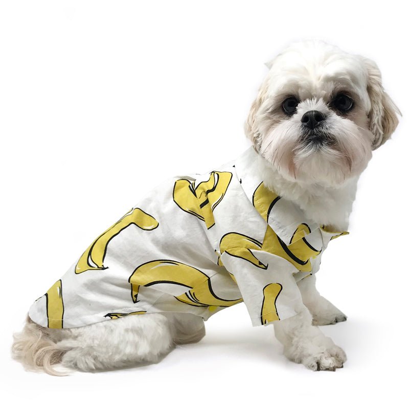 Small dog wearing banana-print shirt, white with yellow banana graphics
