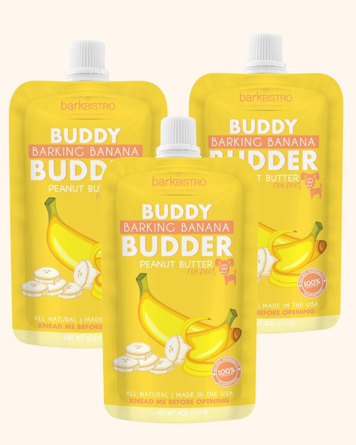 Barkin Banana Buddy Budder Bundle (Trio 4oz Squeeze Packs) - 100% all natural dog peanut butter, Made in USA Fursace Luxury Dog Plush Toy - Red Squeaky | Cookies Wagging Friends Boutique Cookies Wagging Friends Boutique