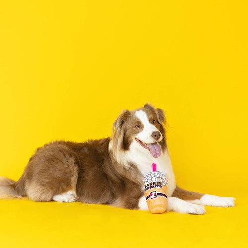 Plush iced coffee dog toy with pink straw, shown beside a small lying dog