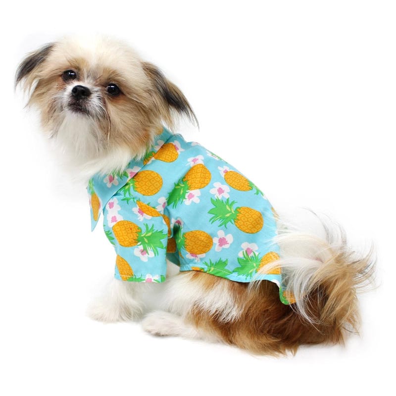 {{product_title}} - Cookies Wagging Friends Boutique