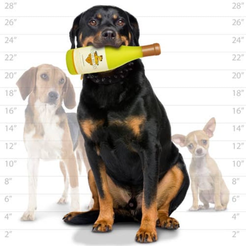 {{product_title}} - Cookies Wagging Friends Boutique