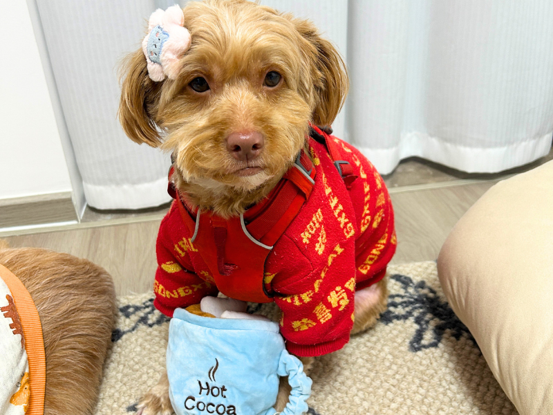 {{product_title}} - Cookies Wagging Friends Boutique