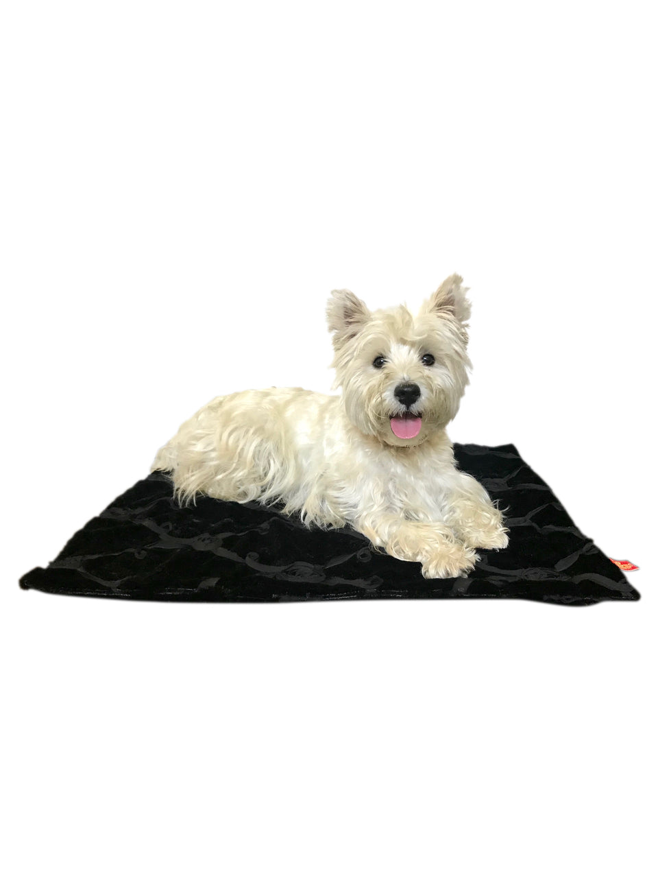 {{product_title}} - Cookies Wagging Friends Boutique
