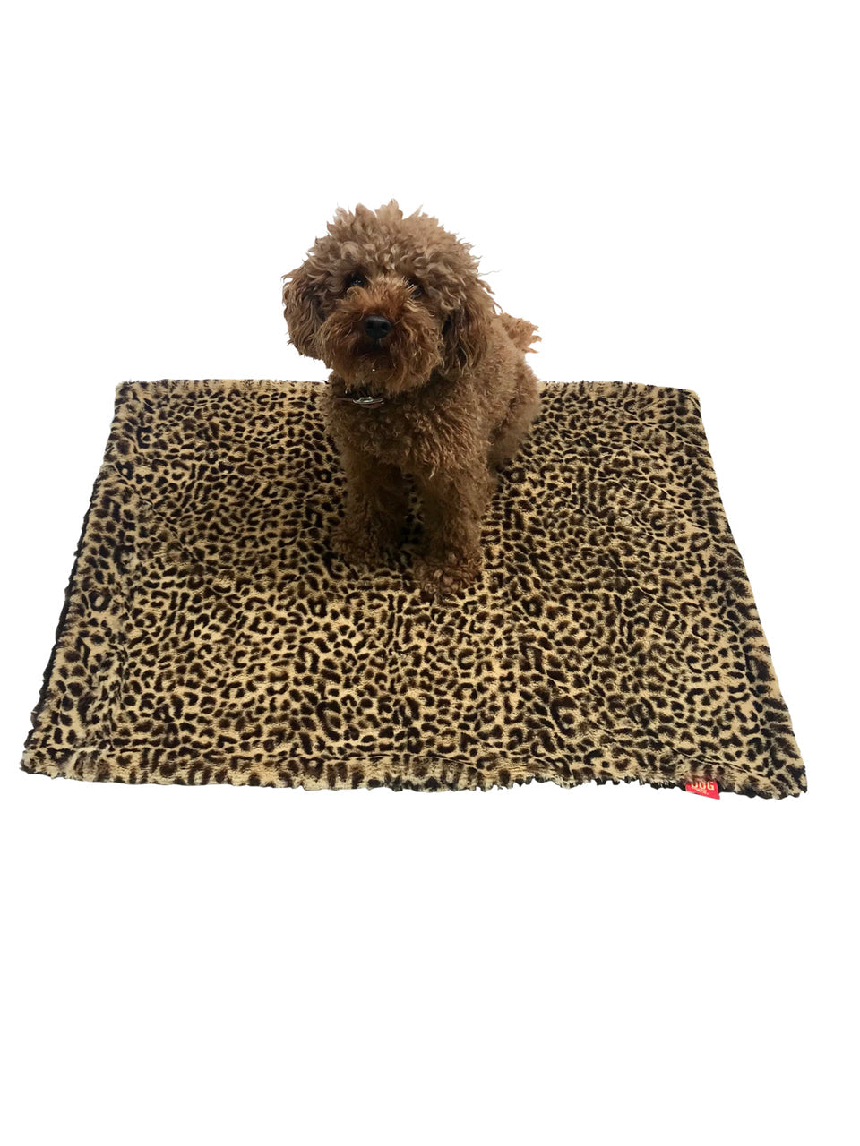 {{product_title}} - Cookies Wagging Friends Boutique