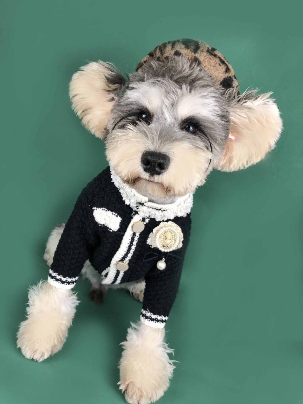 {{product_title}} - Cookies Wagging Friends Boutique