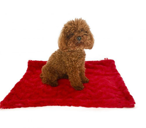 Blanket, Bella Red Fursace Luxury Dog Plush Toy - S Red Squeaky | Cookies Wagging Friends Boutique Cookies Wagging Friends Boutique