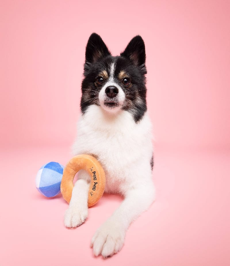 Bling Bling Diamond Ring Plush Squeak Dog Toy 5” Fursace Luxury Dog Plush Toy - Red Squeaky | Cookies Wagging Friends Boutique Cookies Wagging Friends Boutique