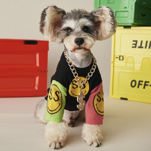 Bling Dollar Chain For Dogs Fursace Luxury Dog Plush Toy - Red Squeaky | Cookies Wagging Friends Boutique Cookies Wagging Friends Boutique