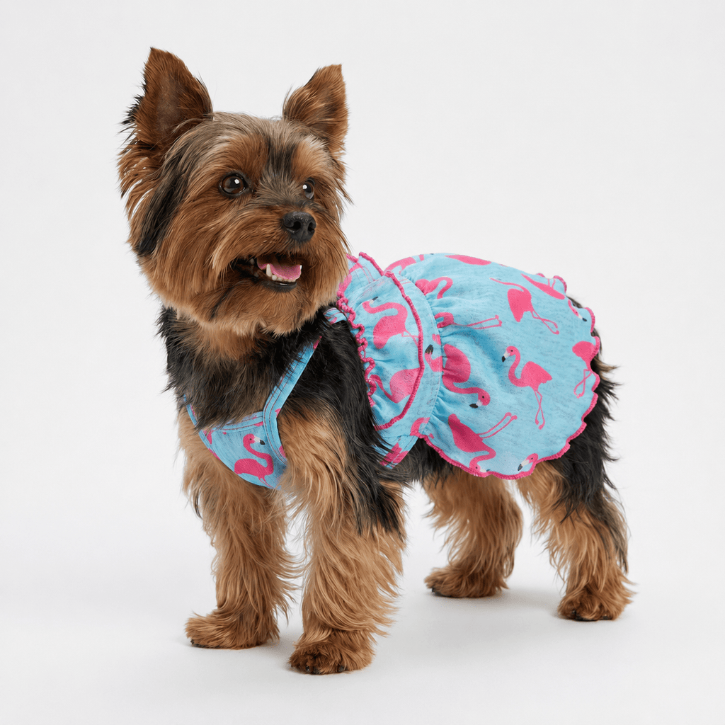 Blue Flamingo Ruffle Dog Dress Fursace Luxury Dog Plush Toy - M Red Squeaky | Cookies Wagging Friends Boutique Cookies Wagging Friends Boutique