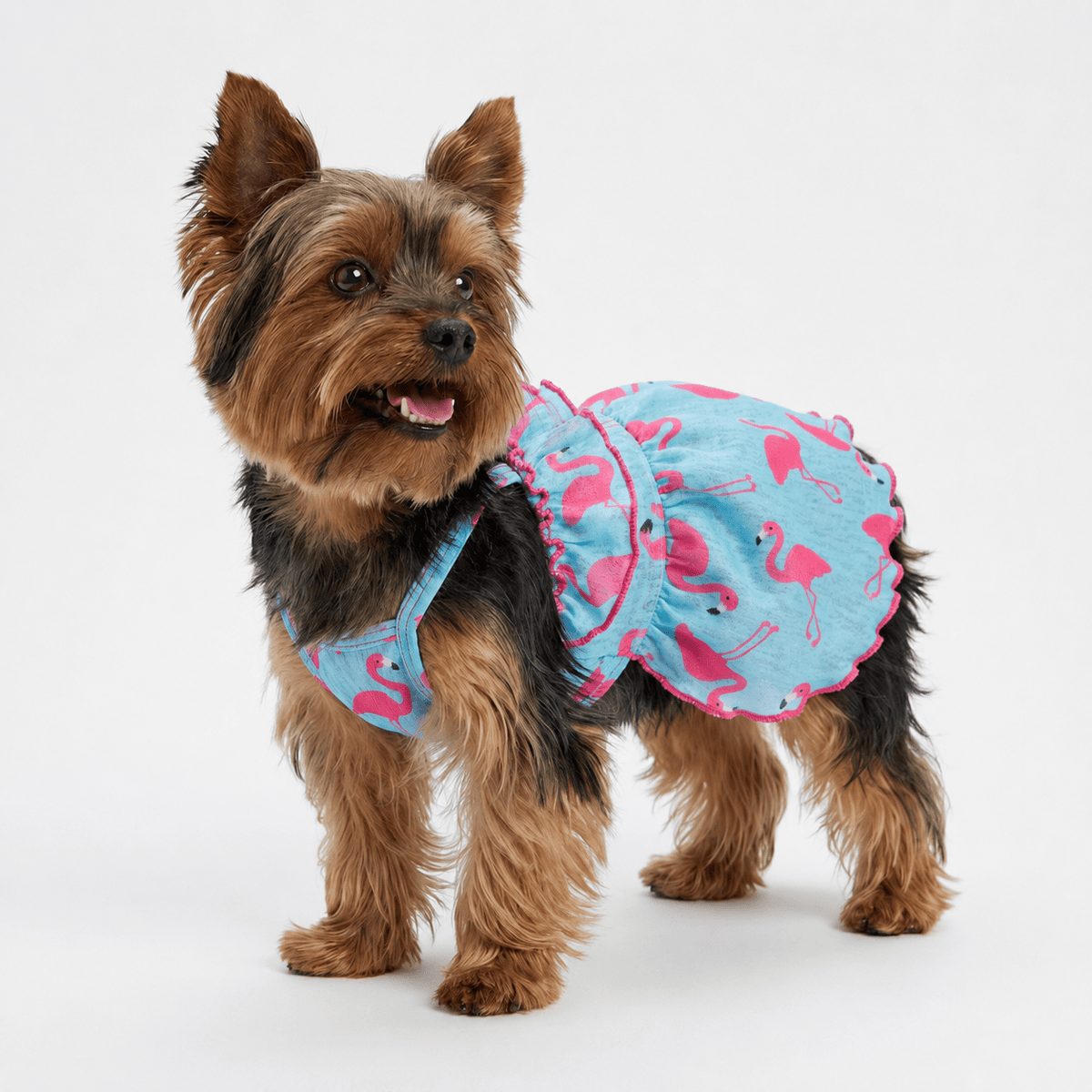 Blue Flamingo Ruffle Dog Dress Fursace Luxury Dog Plush Toy - M Red Squeaky | Cookies Wagging Friends Boutique Cookies Wagging Friends Boutique