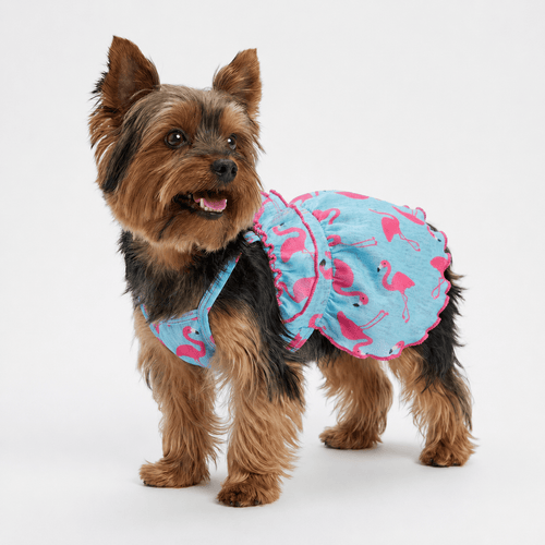 Blue Flamingo Ruffle Dog Dress Fursace Luxury Dog Plush Toy - M Red Squeaky | Cookies Wagging Friends Boutique Cookies Wagging Friends Boutique