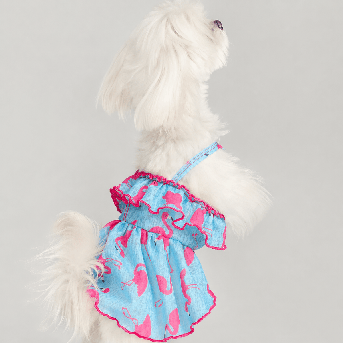 Blue Flamingo Ruffle Dog Dress Fursace Luxury Dog Plush Toy - M Red Squeaky | Cookies Wagging Friends Boutique Cookies Wagging Friends Boutique