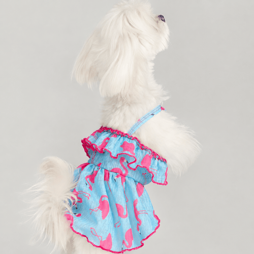 Blue Flamingo Ruffle Dog Dress Fursace Luxury Dog Plush Toy - M Red Squeaky | Cookies Wagging Friends Boutique Cookies Wagging Friends Boutique