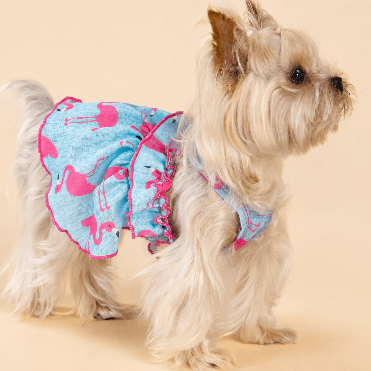 Blue Flamingo Ruffle Dog Dress Fursace Luxury Dog Plush Toy - M Red Squeaky | Cookies Wagging Friends Boutique Cookies Wagging Friends Boutique