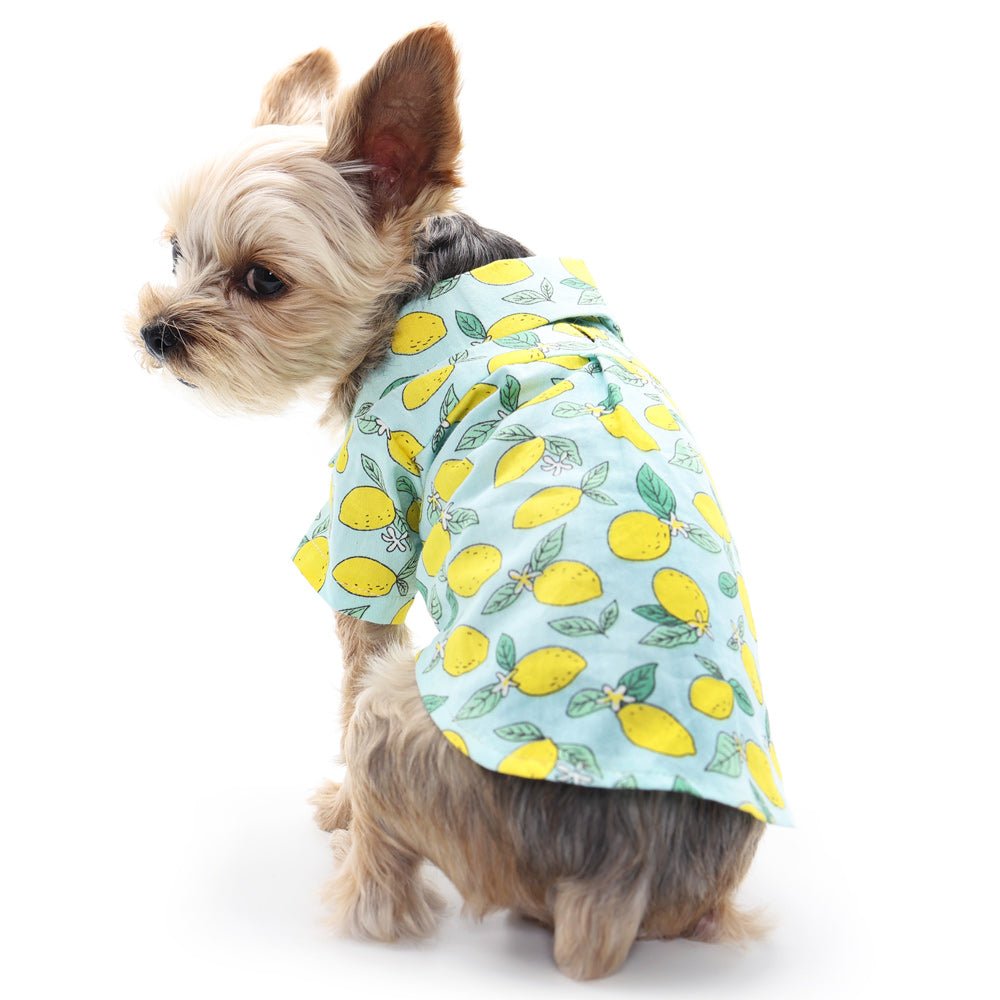 Light blue pet shirt with yellow lemon print, side view on dog
