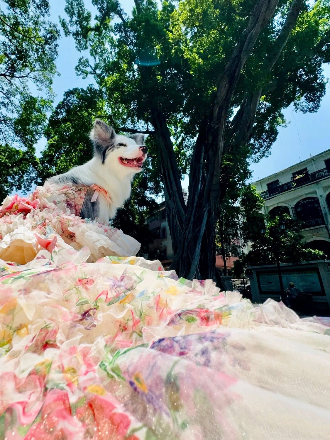 Floral pastel ruffle dog dress with long flowing skirt and bow trim