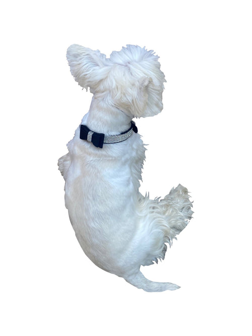 Bow Tie Dog Collar in Pleather, Black Fursace Luxury Dog Plush Toy - XXS Red Squeaky | Cookies Wagging Friends Boutique Cookies Wagging Friends Boutique