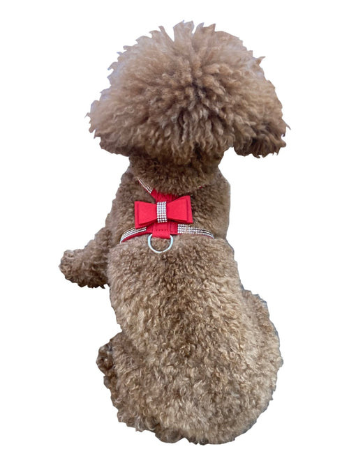 Red pleather bow tie dog harness with buckle and round D-ring, on small dog
