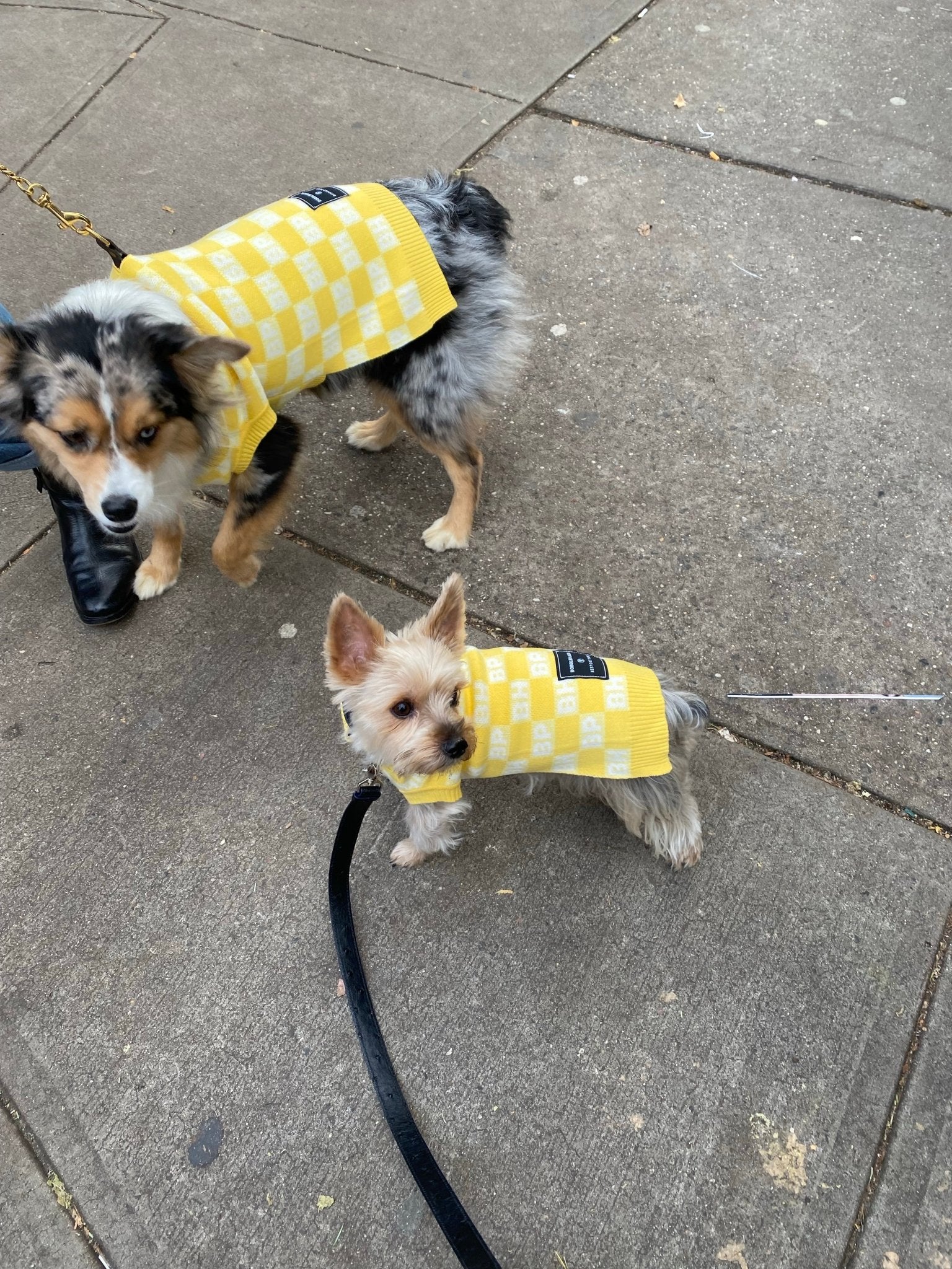 Yellow check-knit sweater vest with ribbed armholes and repeating BP/BH logo squares