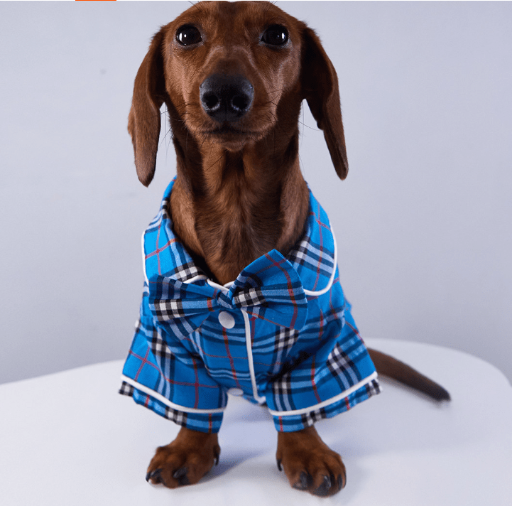 Blue plaid pet pajama shirt with button front and tied neckline