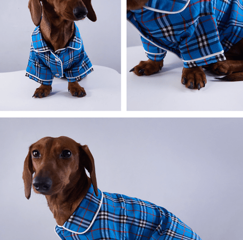 Blue plaid pet pajama shirt with button front and short sleeves