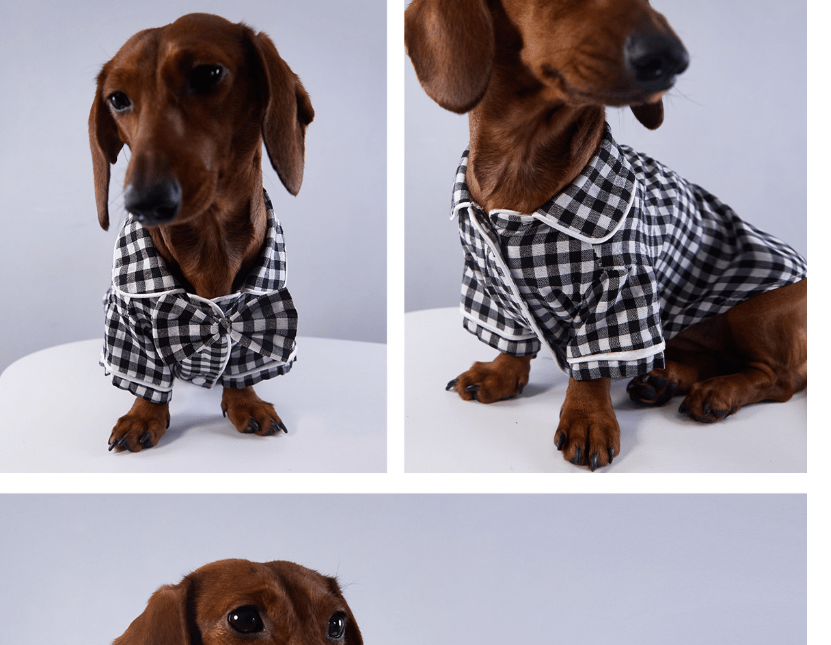 Black-and-white plaid pet pajama set with button front and short bottoms