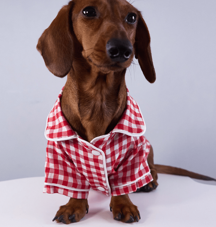 Red-and-white plaid pet pajama shirt with button front and short sleeves