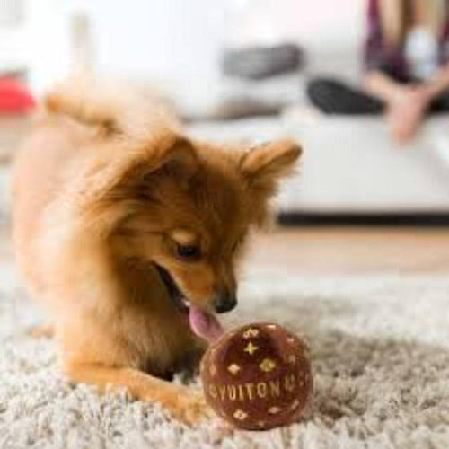 Brown plush squeaky dog toy ball with LOUIS VUITTON logo, being held by a dog