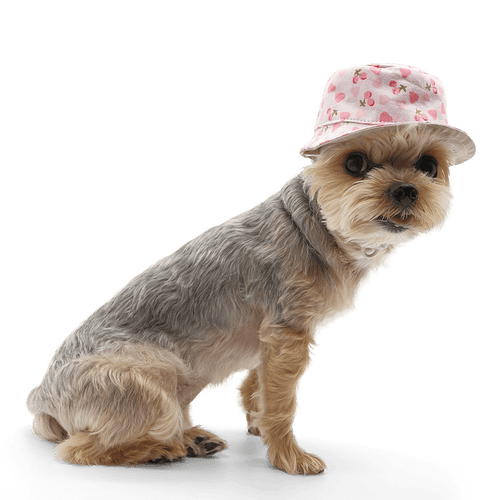 Pink patterned bucket hat with heart and cherry print, worn by a small dog