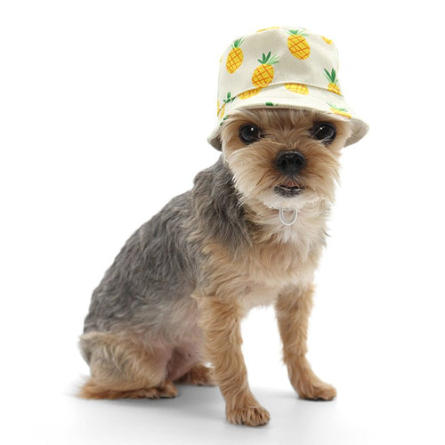 Pineapple-print bucket hat worn by a small dog, front view