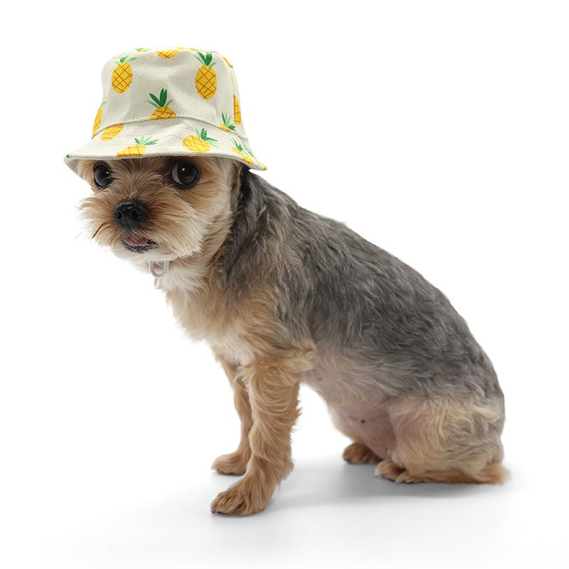 Pineapple-print bucket hat worn by a small dog, side profile