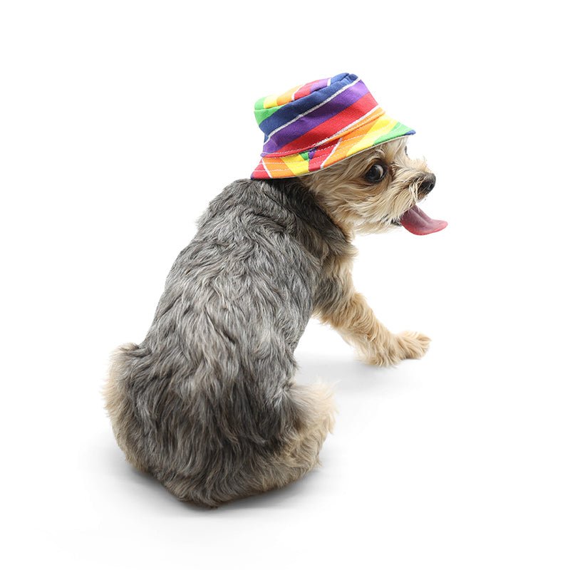 Rainbow striped bucket hat on dog, colorful crown with curved brim