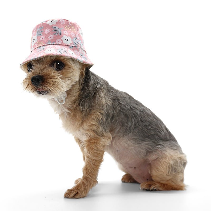 Pink floral bucket hat worn by a small dog in profile