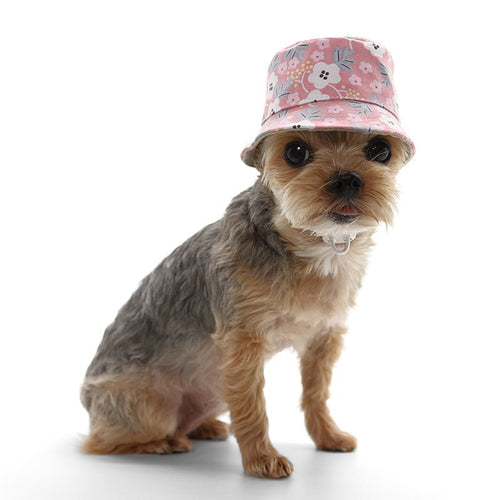 Pink floral bucket hat on a small dog, showing side crown and brim