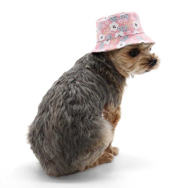 Pink floral bucket hat worn by a small dog, side view with brim