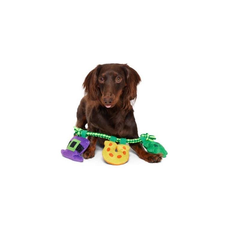 {{product_title}} - Cookies Wagging Friends Boutique