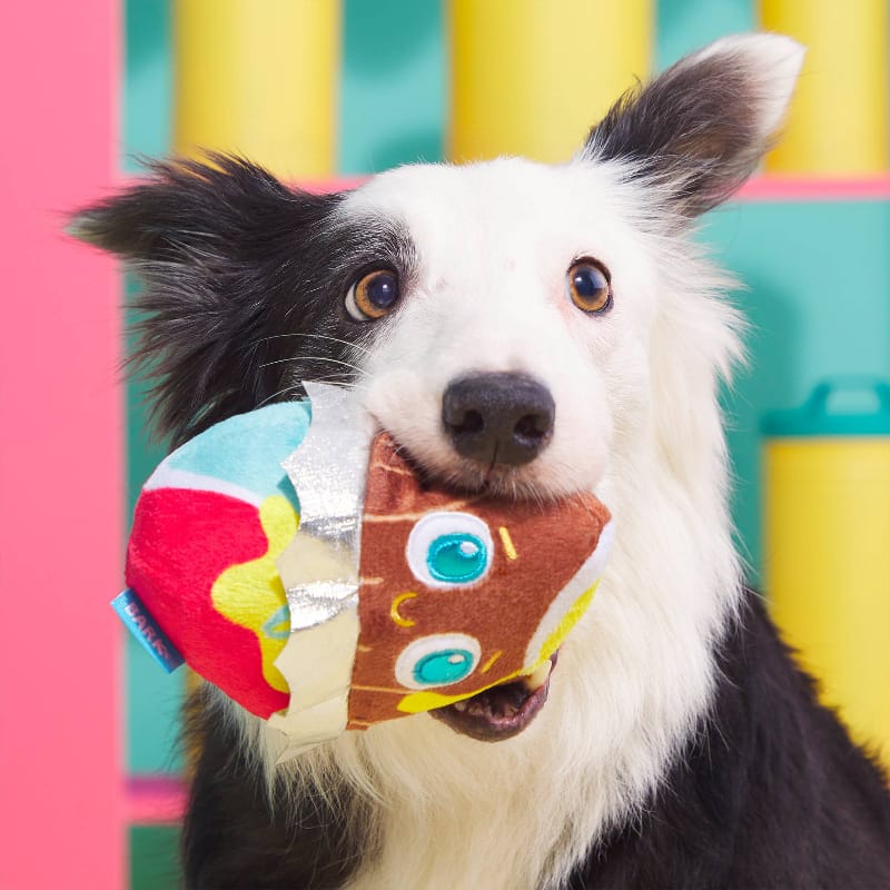 {{product_title}} - Cookies Wagging Friends Boutique