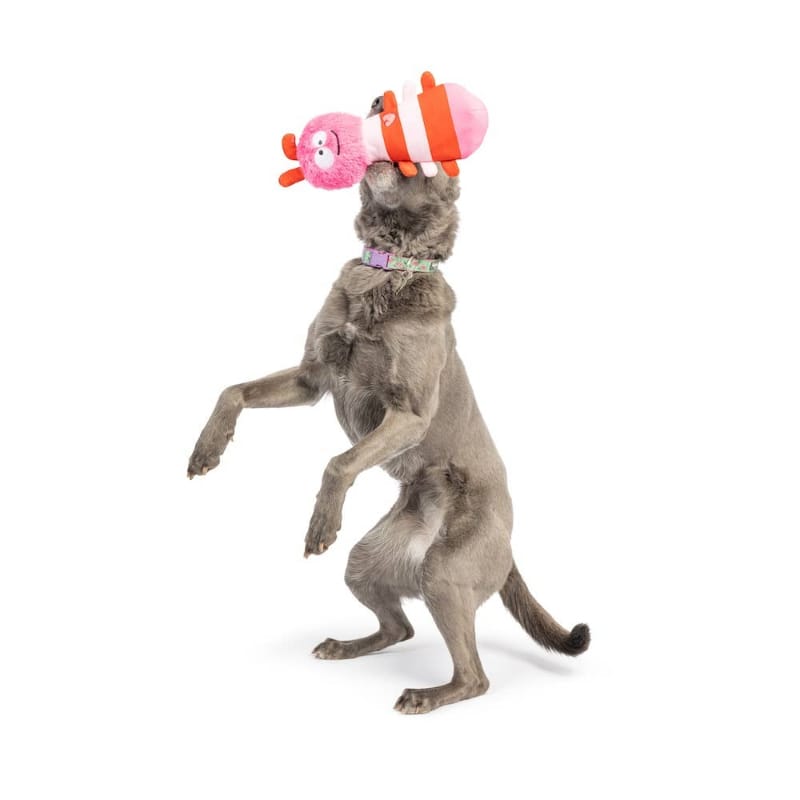{{product_title}} - Cookies Wagging Friends Boutique